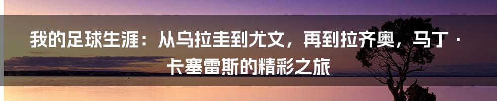 我的足球生涯：从乌拉圭到尤文，再到拉齐奥，马丁·卡塞雷斯的精彩之旅