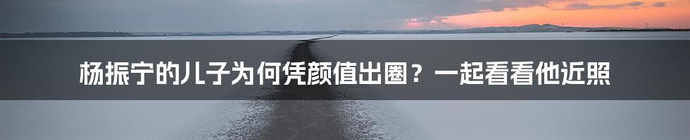 杨振宁的儿子为何凭颜值出圈？一起看看他近照