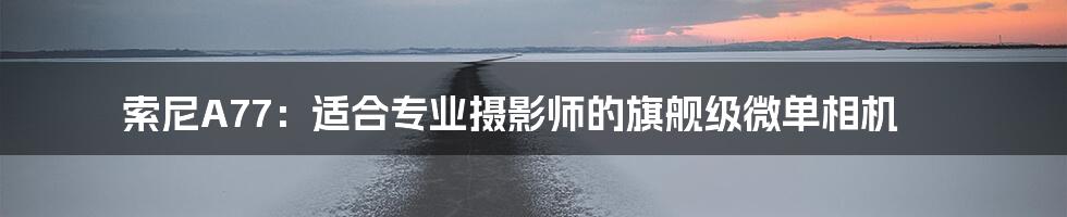 索尼A77：适合专业摄影师的旗舰级微单相机