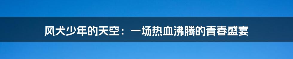 风犬少年的天空：一场热血沸腾的青春盛宴