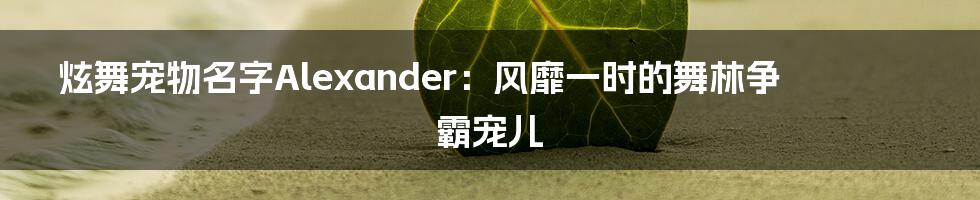 炫舞宠物名字Alexander：风靡一时的舞林争霸宠儿