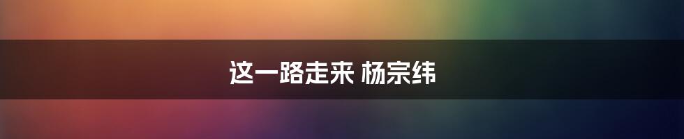 这一路走来 杨宗纬