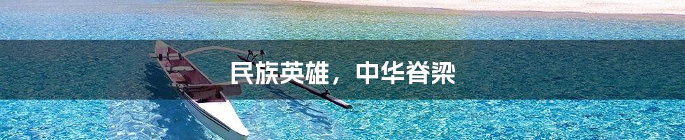 民族英雄，中华脊梁