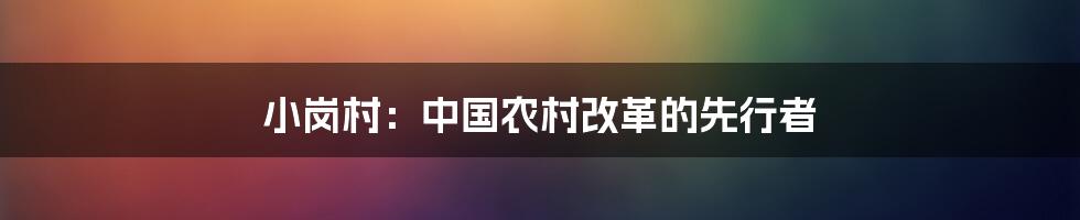 小岗村：中国农村改革的先行者