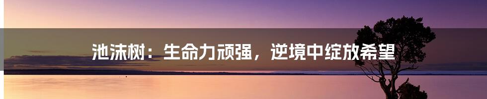 池沫树：生命力顽强，逆境中绽放希望