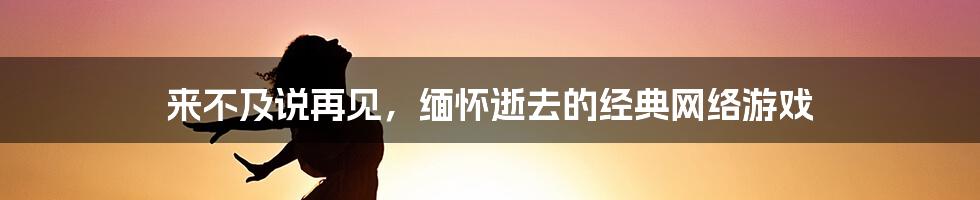 来不及说再见，缅怀逝去的经典网络游戏