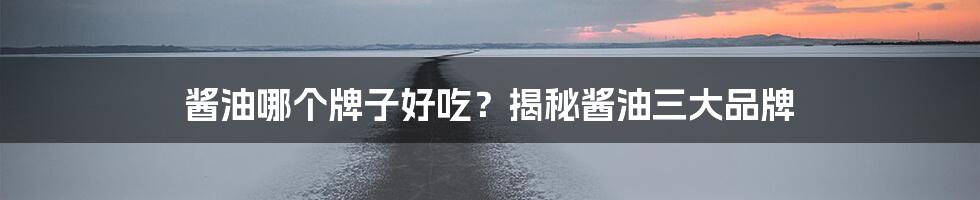 酱油哪个牌子好吃？揭秘酱油三大品牌