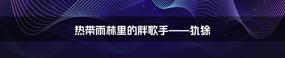 热带雨林里的胖歌手——犰狳