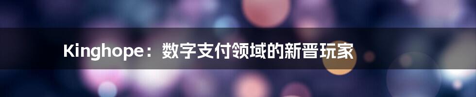 Kinghope：数字支付领域的新晋玩家