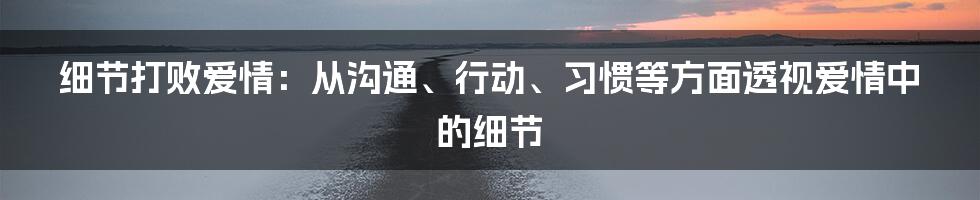 细节打败爱情：从沟通、行动、习惯等方面透视爱情中的细节