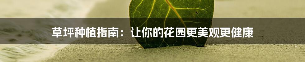 草坪种植指南：让你的花园更美观更健康