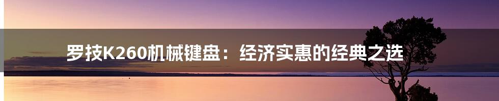 罗技K260机械键盘：经济实惠的经典之选