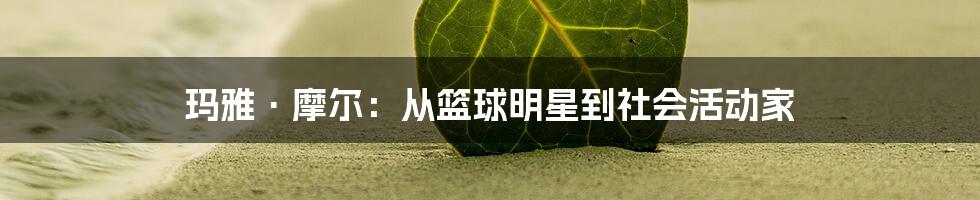 玛雅·摩尔：从篮球明星到社会活动家