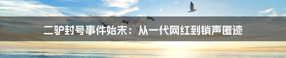 二驴封号事件始末：从一代网红到销声匿迹