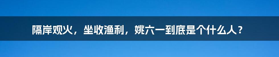 隔岸观火，坐收渔利，姚六一到底是个什么人？