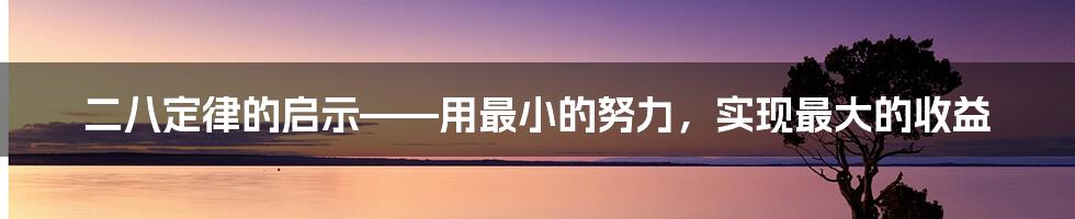 二八定律的启示——用最小的努力，实现最大的收益