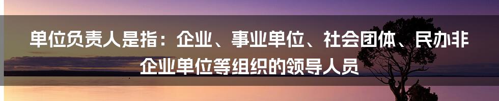 单位负责人是指：企业、事业单位、社会团体、民办非企业单位等组织的领导人员