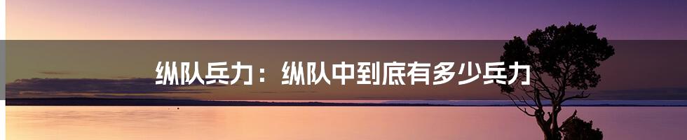 纵队兵力：纵队中到底有多少兵力