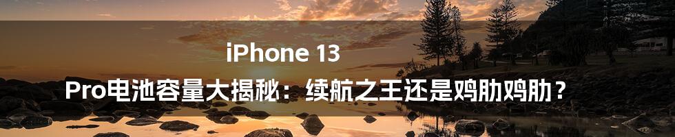 iPhone 13 Pro电池容量大揭秘：续航之王还是鸡肋鸡肋？