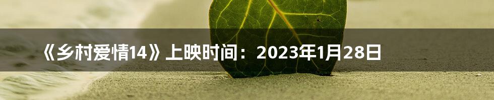 《乡村爱情14》上映时间：2023年1月28日