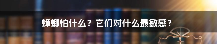 蟑螂怕什么？它们对什么最敏感？