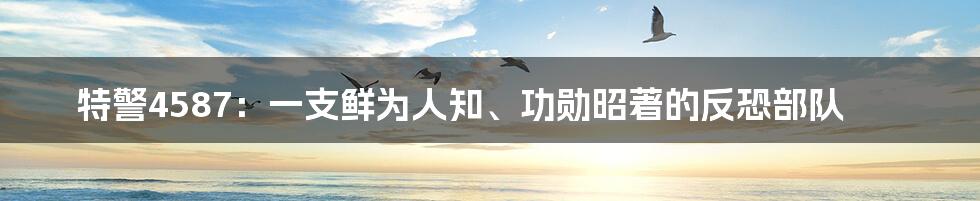 特警4587：一支鲜为人知、功勋昭著的反恐部队