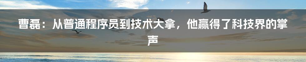 曹磊：从普通程序员到技术大拿，他赢得了科技界的掌声