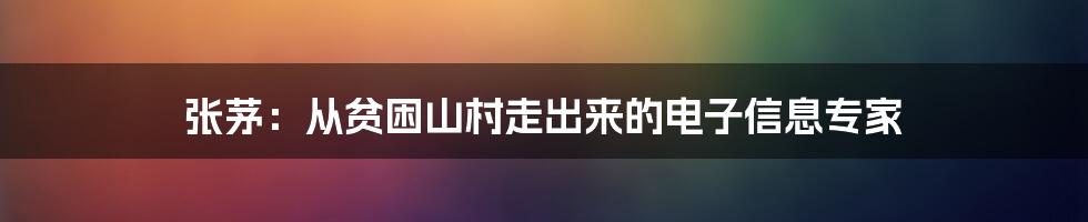 张茅：从贫困山村走出来的电子信息专家