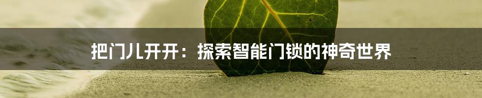 把门儿开开：探索智能门锁的神奇世界