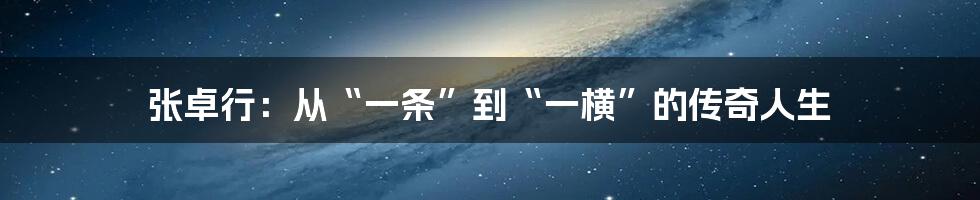 张卓行：从“一条”到“一横”的传奇人生