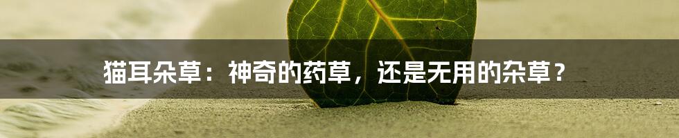 猫耳朵草：神奇的药草，还是无用的杂草？