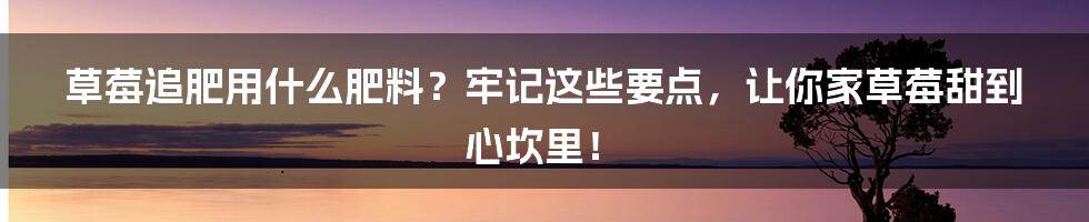 草莓追肥用什么肥料？牢记这些要点，让你家草莓甜到心坎里！