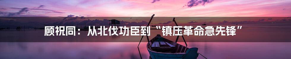 顾祝同：从北伐功臣到“镇压革命急先锋”