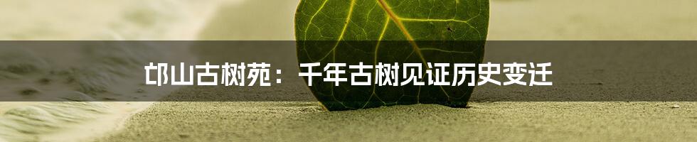 邙山古树苑：千年古树见证历史变迁