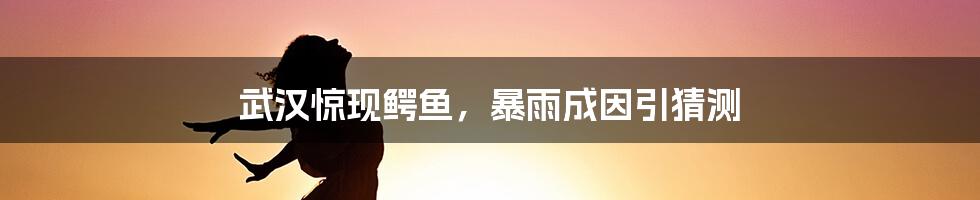 武汉惊现鳄鱼，暴雨成因引猜测