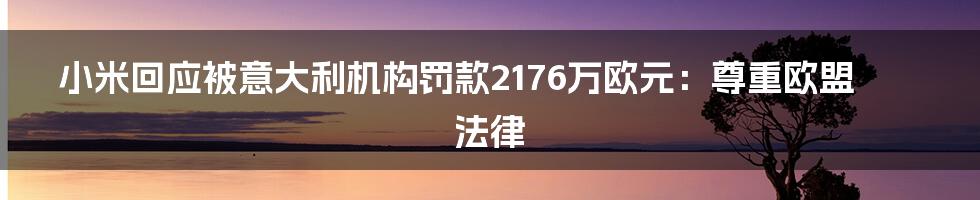 小米回应被意大利机构罚款2176万欧元：尊重欧盟法律