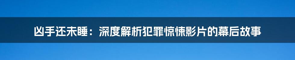 凶手还未睡：深度解析犯罪惊悚影片的幕后故事