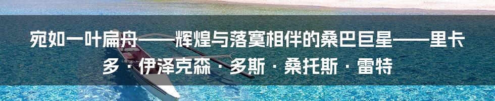 宛如一叶扁舟——辉煌与落寞相伴的桑巴巨星——里卡多·伊泽克森·多斯·桑托斯·雷特