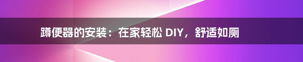 蹲便器的安装：在家轻松 DIY，舒适如厕