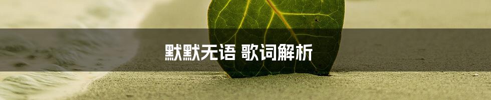 默默无语 歌词解析