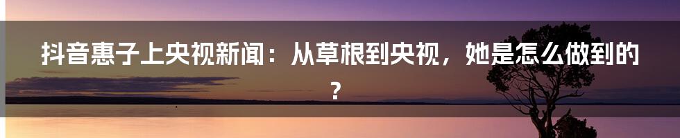 抖音惠子上央视新闻：从草根到央视，她是怎么做到的？