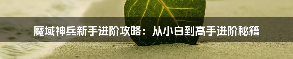 魔域神兵新手进阶攻略：从小白到高手进阶秘籍