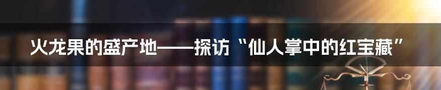 火龙果的盛产地——探访“仙人掌中的红宝藏”