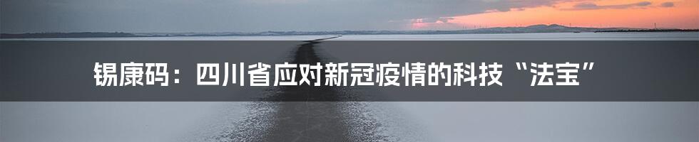 锡康码：四川省应对新冠疫情的科技“法宝”