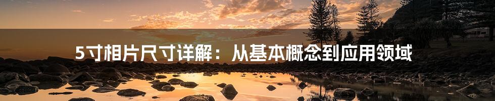 5寸相片尺寸详解：从基本概念到应用领域