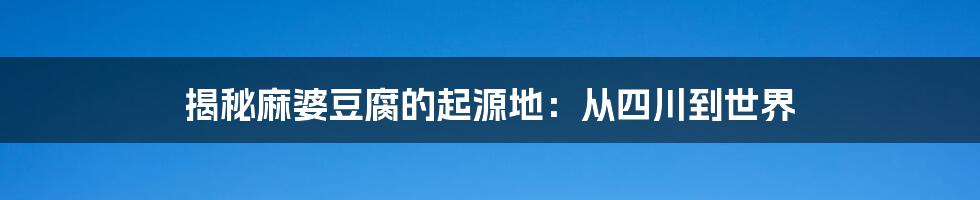 揭秘麻婆豆腐的起源地：从四川到世界