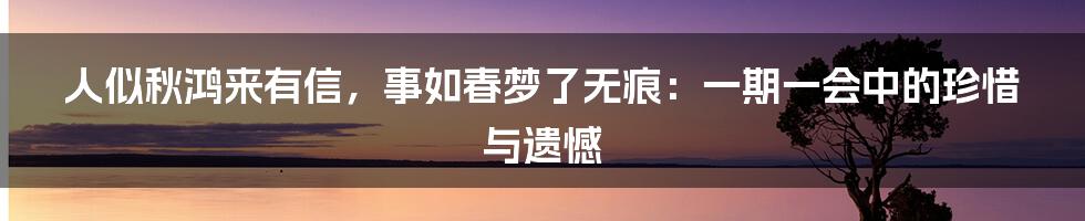 人似秋鸿来有信，事如春梦了无痕：一期一会中的珍惜与遗憾