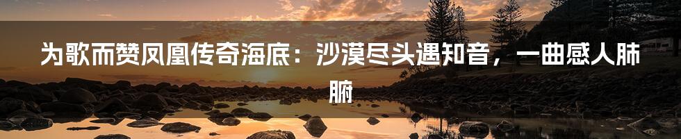 为歌而赞凤凰传奇海底：沙漠尽头遇知音，一曲感人肺腑