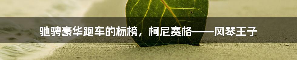 驰骋豪华跑车的标榜，柯尼赛格——风琴王子