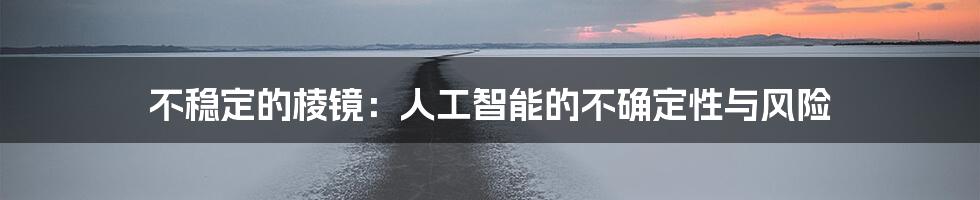 不稳定的棱镜：人工智能的不确定性与风险